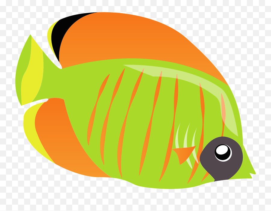 Bluecheek Butterflyfish Png U0026 Free - Coral Reef Fish,Candice Accola Png Bluecheek Butterflyfish Png U0026 Free - Coral Reef Fish,Candice Accola Png