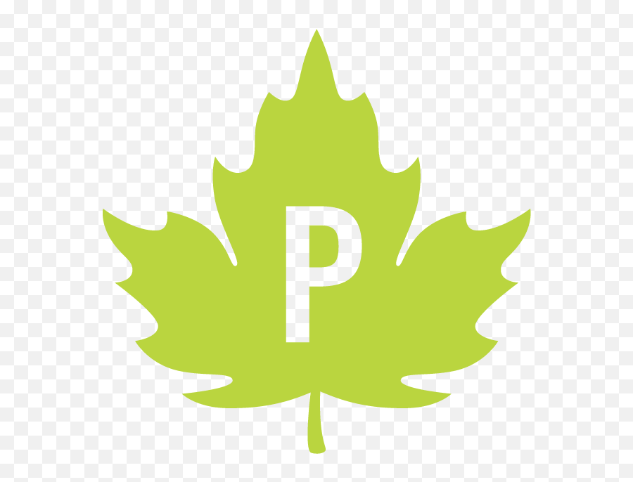 The Perkins School U2013 Faculty U0026 Staff - Language Png,Maple Leaf Icon