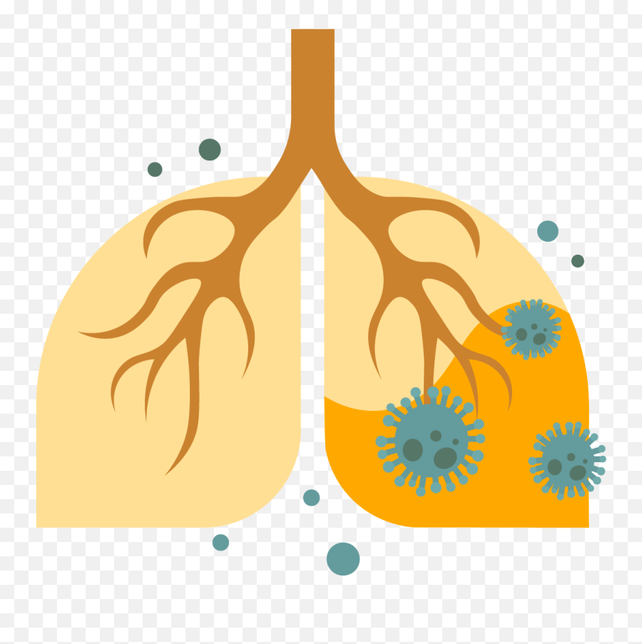 Hypersensitivity Pneumonitis - Natural Foods Png,Prognosis Icon