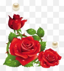 Rose Paper Red Flower Clip Art - Corner Rose Flower Png,Funeral Png