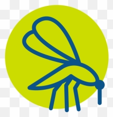 Residential Lawn Care Services Des Moines Iowa Perficut - Insect png