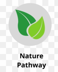Discipleship Pathways Mill City Church - Vertical png