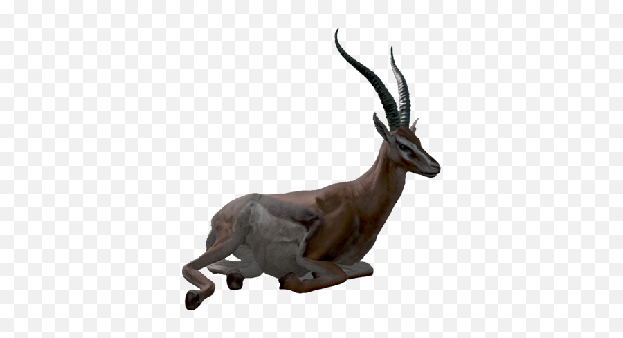 Immerse Roleplaying - Gazelle Png,Gazelle Icon