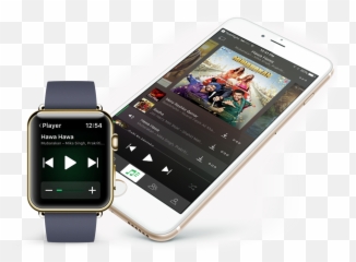 Saavn - Strap png