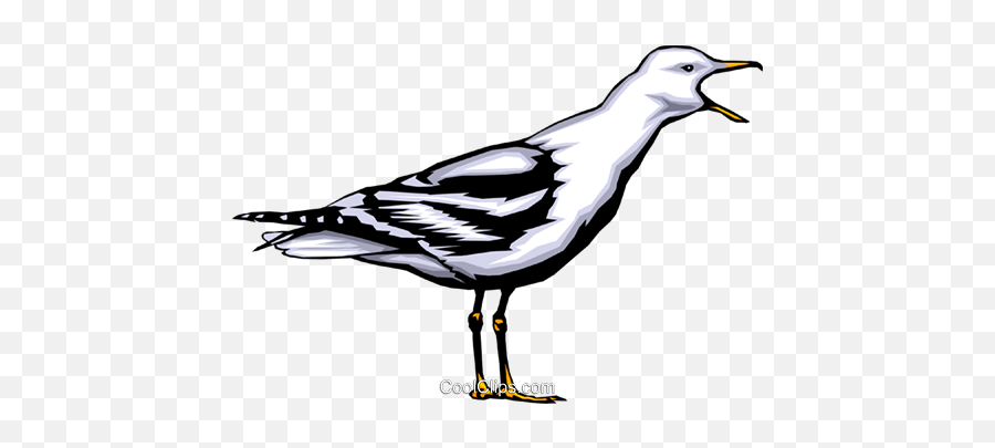 Seagull Royalty Free Vector Clip Art Illustration - Anim0365 Bad Luck To Kill A Seabird Png,Seagull Png
