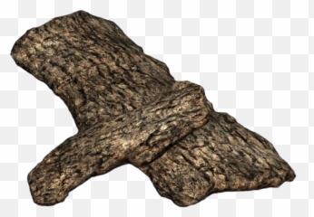 Png Image - Oak Tree Bark Png,Tree Bark Png