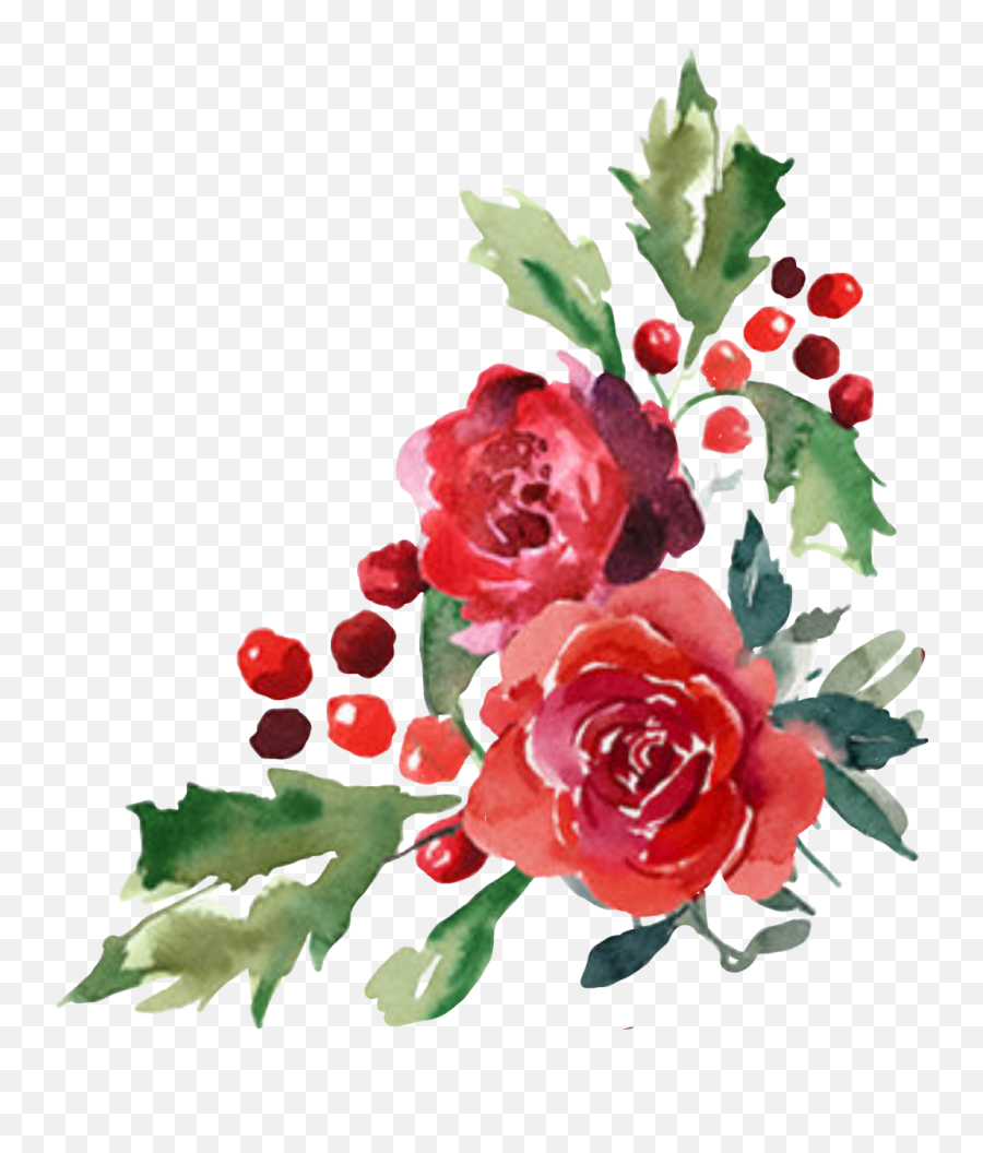 Download Hd Watercolor Flower Flor Flores Cornerdesign - Transparent Background Red Watercolor Flower Png,Christmas Holly Png