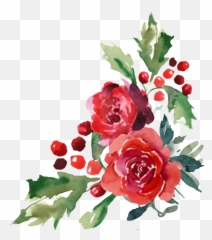 Download Hd Watercolor Flower Flor Flores Cornerdesign - Transparent Background Red Watercolor Flower Png,Christmas Holly Png