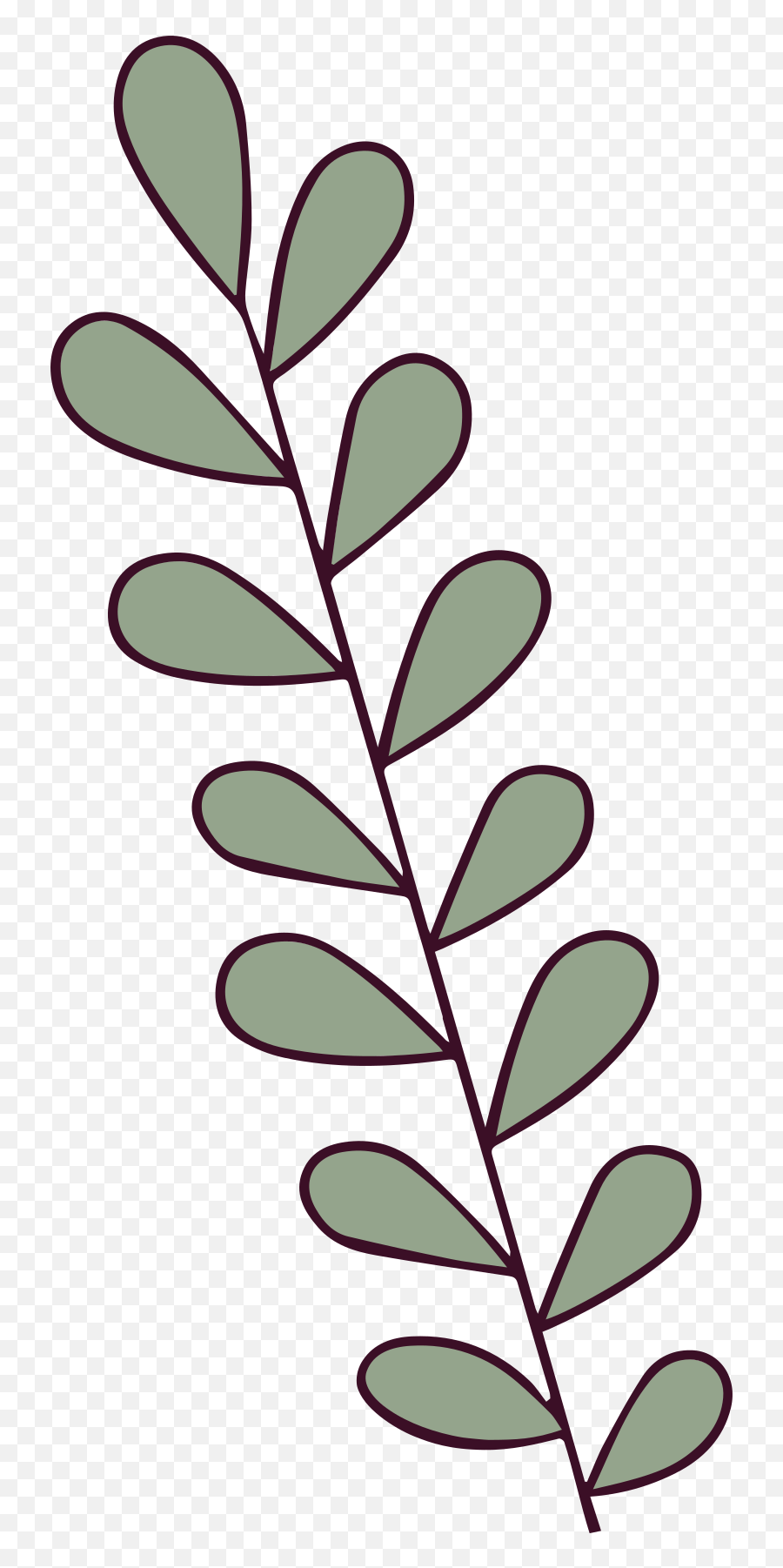 Plant Illustration In Png Svg Leafyishere Icon