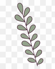 Plant Illustration In Png Svg