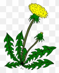 Clip Art Of Weeds Png Image - Dandelion Clip Art,Weeds Png