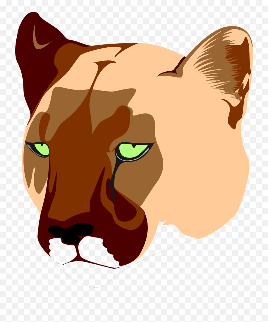 N 334620964 Png Lioness
