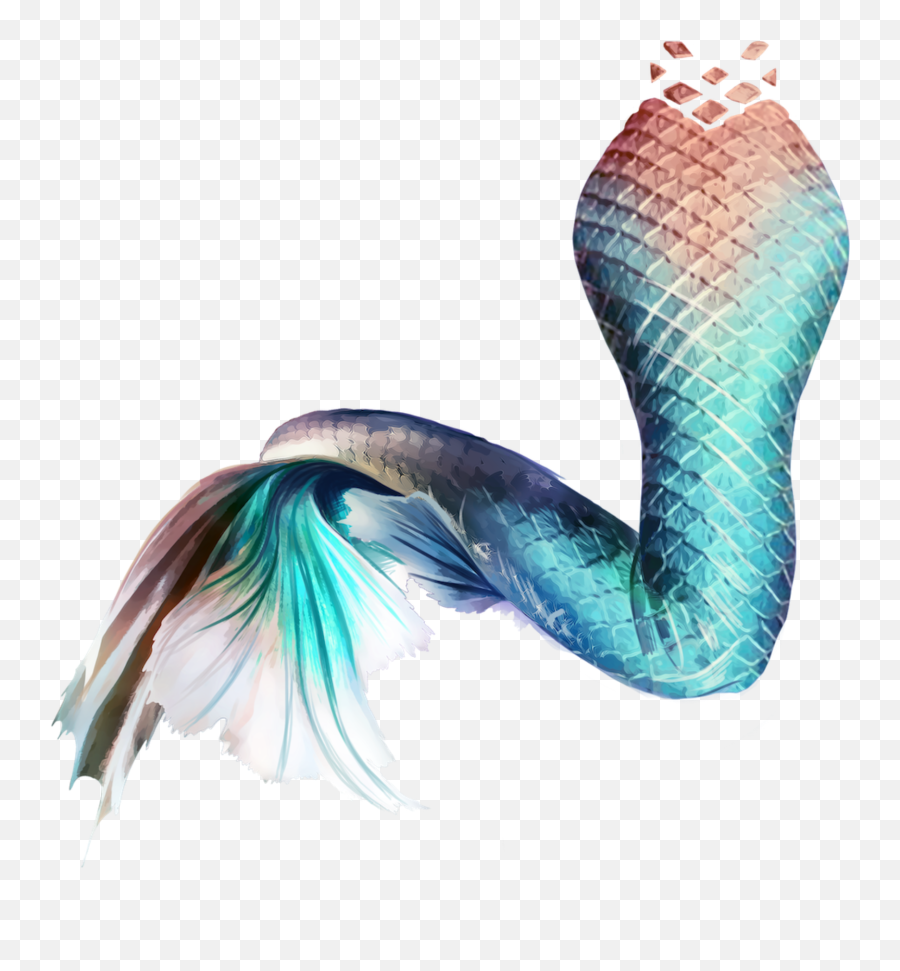 Download Mermaid Tail Sticker - Mermaid Tail Png Transparent,Mermaid Tail Png