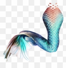 Download Mermaid Tail Sticker - Png Transparent