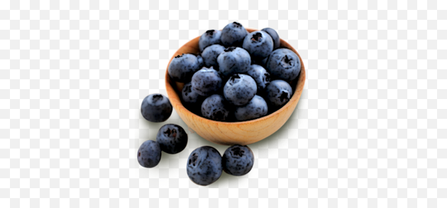 Blueberries Icon Clipart - Bowl Of Blueberries Transparent Png,Blueberries Png