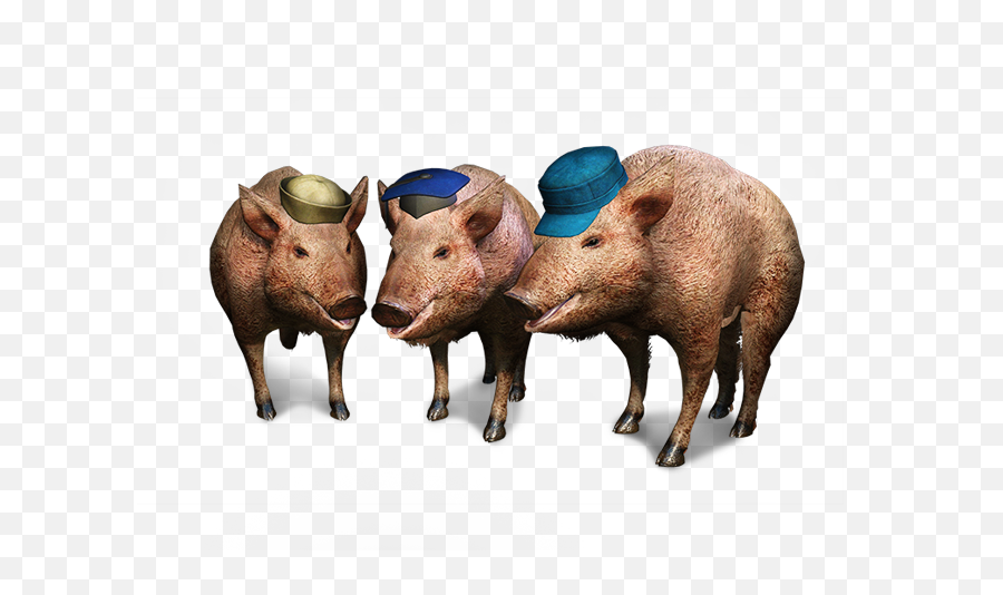 Three Little Pigs - Three Little Pigs The Witcher Png,Pigs Png