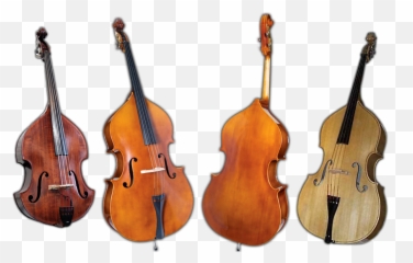 Bass Clef Shed Guitars And Supplies For All Bassists - Double Bass Png,Bass Clef Png