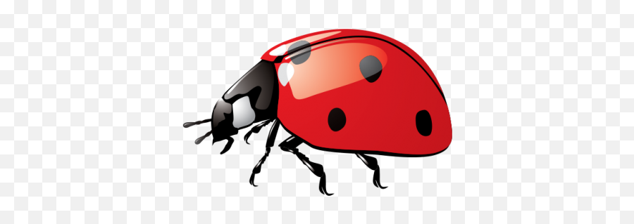 Download Ladybug Free Png Transparent Image And Clipart - Vector Graphics,Ladybug Png