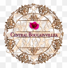 Centralbougainvilleahotelhostelairbnbantigua Guatemala - Sangosh Png,Bougainvillea Png