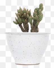 Planter Pot - Cactus In A Pot Transparent Png,Planters Png