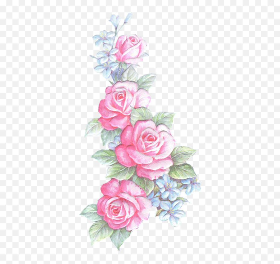 Desenhos De Rosas Png Transparent Images U2013 Free - Rosas Em Png Transparente,Rosas Png