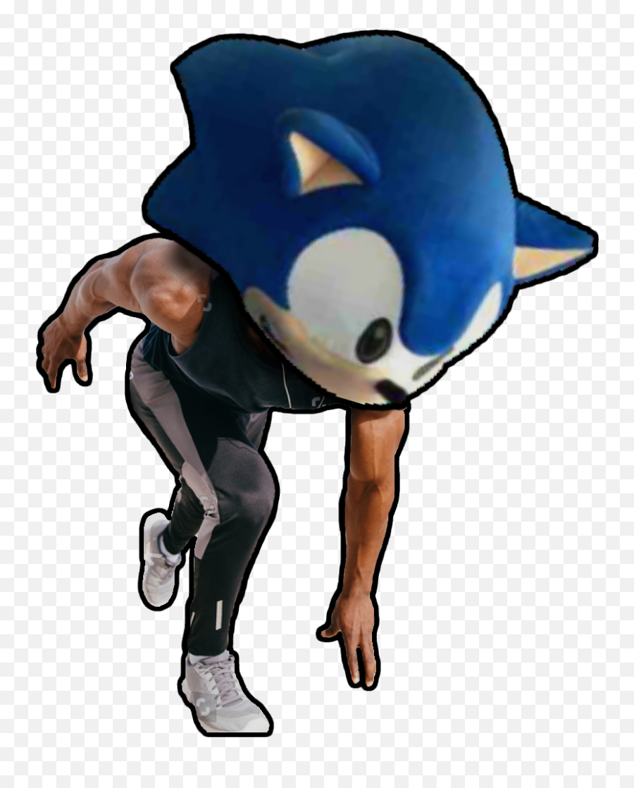 Sonic Fursuit - Sonic The Hedgehog Png,Sonic Head Png