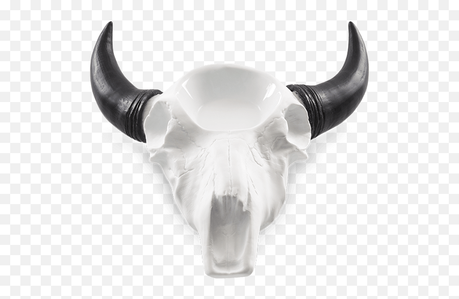 Scentsy Cow Skull With Horns Warmer - Scentsy Bull Skull Warmer Png,Cow Skull Png