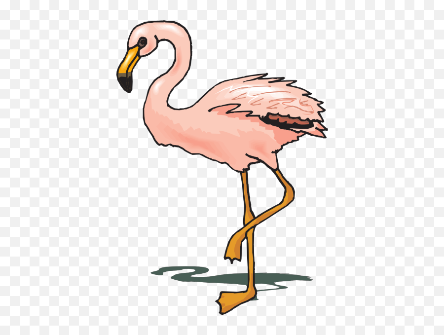 Standing Flamingo Clip Art - Vector Bangau Png,Flamingo Clipart Png