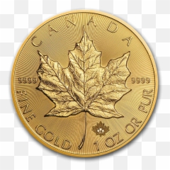 2019 Oz - Zota Moneta Uncja png
