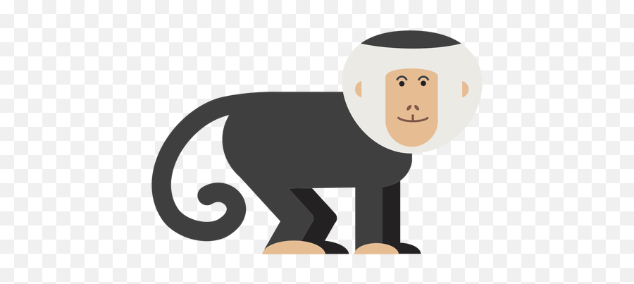 Capuchin Monkey Illustration - Transparent Png U0026 Svg Vector File Capuchin Monkey Cartoon Png,Monkey Transparent