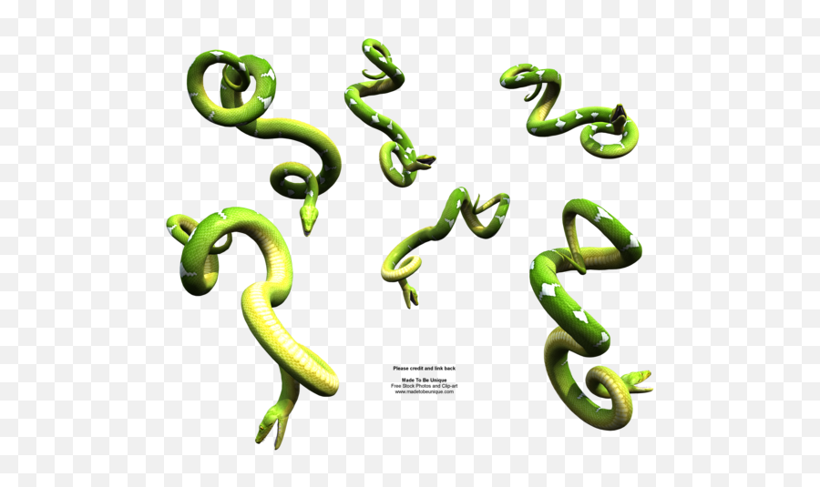 Bright Green Hanging Snakes By Madetobeunique - Python Snake Vijay Mahar Fire Png,Green Snake Png