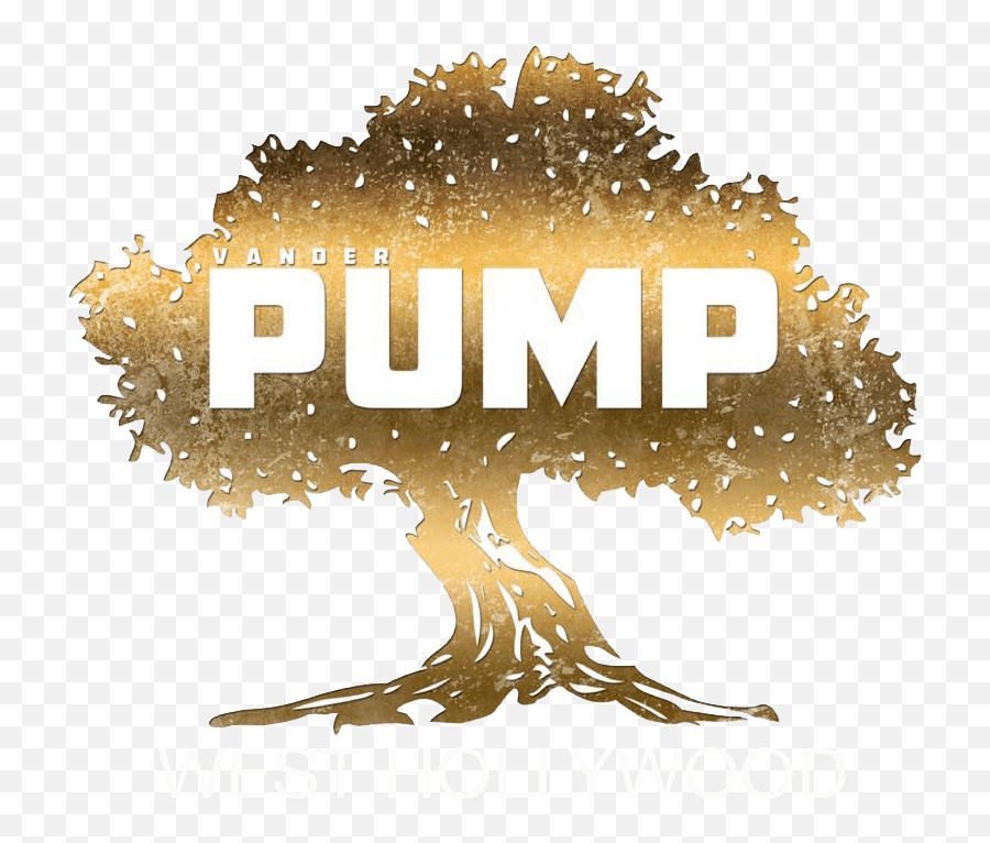 Dom Perignon Brut - Pump West Hollywood Logo Png,Dom Perignon Logo