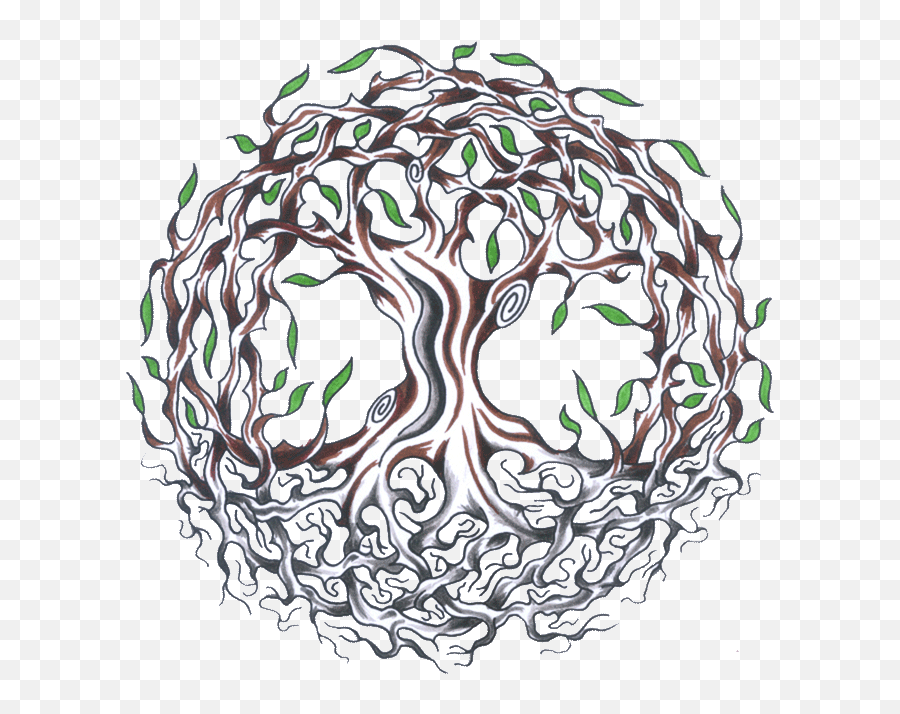 Celtic Tree Of Life Meaning - Celtic Tree Of Life Tattoo Png,Tree Of Life Transparent