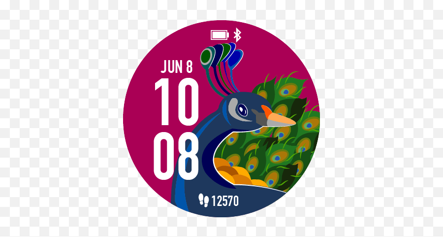 Malaysian Birds Garmin Connect Iq - Flightless Bird Png,Malaysian Icon