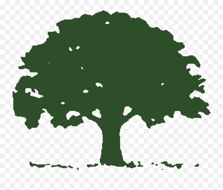 Hole Vector Freeuse Library Png Files - Say No To Plastic Bags,Tree Logos