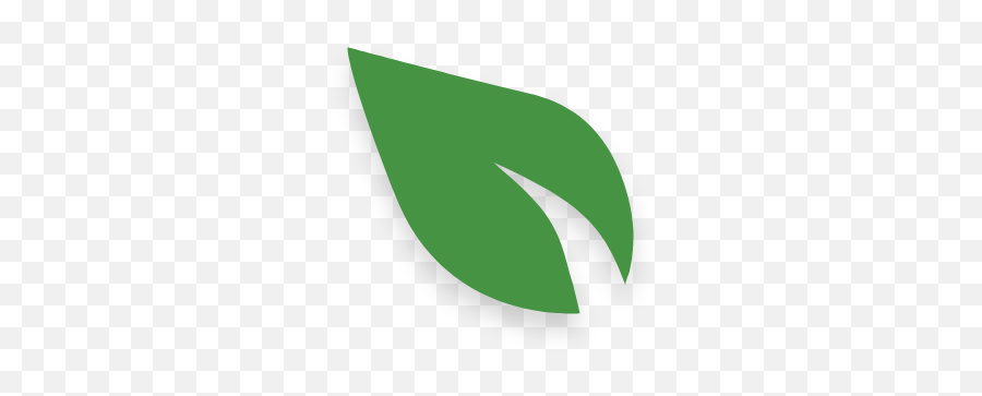 Our Team Innovative Green Solutions Project - Vertical Png,Icon 3 Leaf Progressive Aal