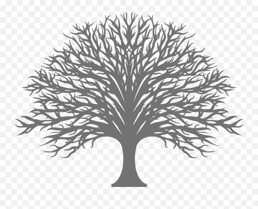 Tree Silhouette Branches - Free Vector Graphic On Pixabay Dxf Tree Design Laser Cutting Png,Oak Leaf Icon Line