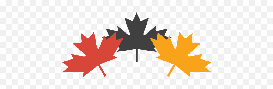 Maintenance - Bambisana Office Vector Graphics Png,Canadian Maple Leaf Icon