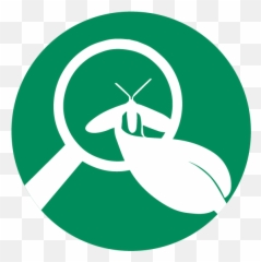 Index Of Wp - Contentuploadsbackup Emblem Png,Pillars Png