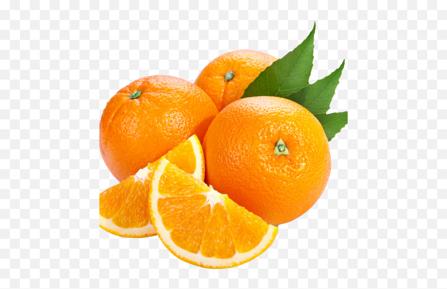 Wild Orange Essential - Orange Images Hd Png,Orange Slice Png