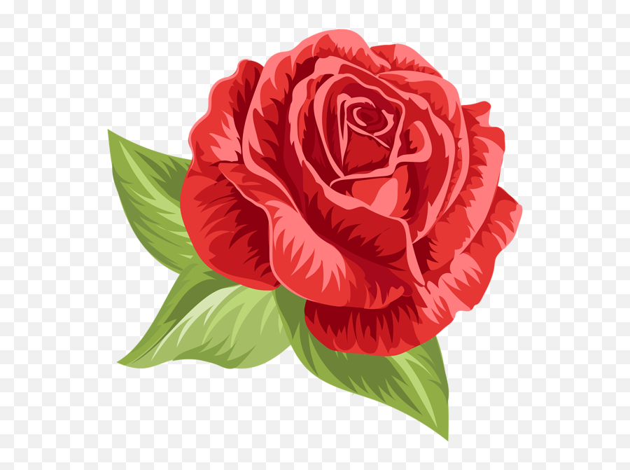 Rose Png - Rose Png,Roses Transparent