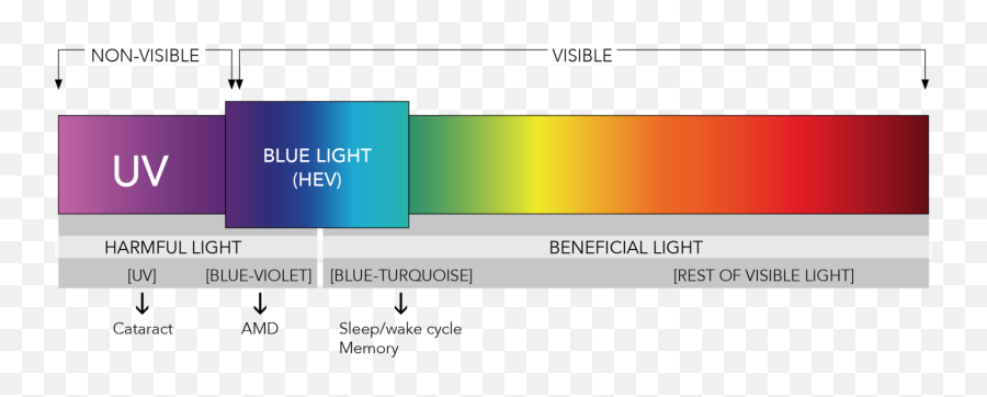 What Is Blue Light U2013 Eyez - Spectrum Of Light Blue Light Png,Blue Light Png
