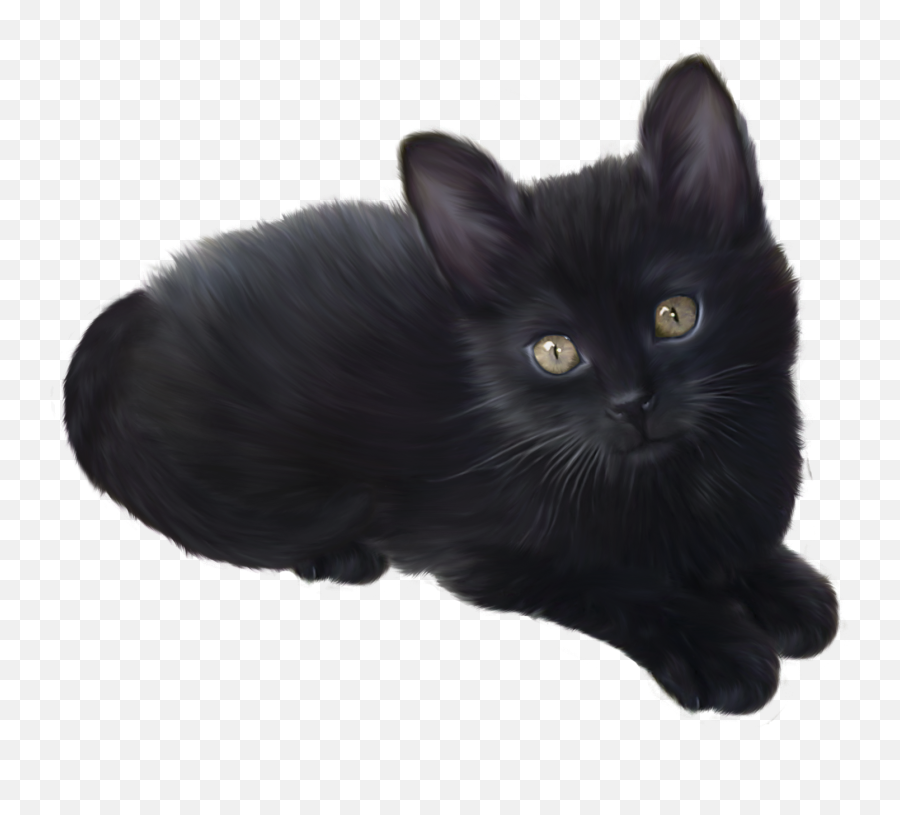 Kitten Png Transparent Images All - Black Kitten Png,Cats Transparent