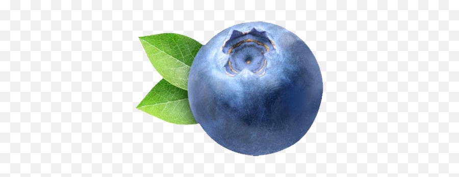 Blueberry Png Clipart - Blueberry Png,Blueberries Png