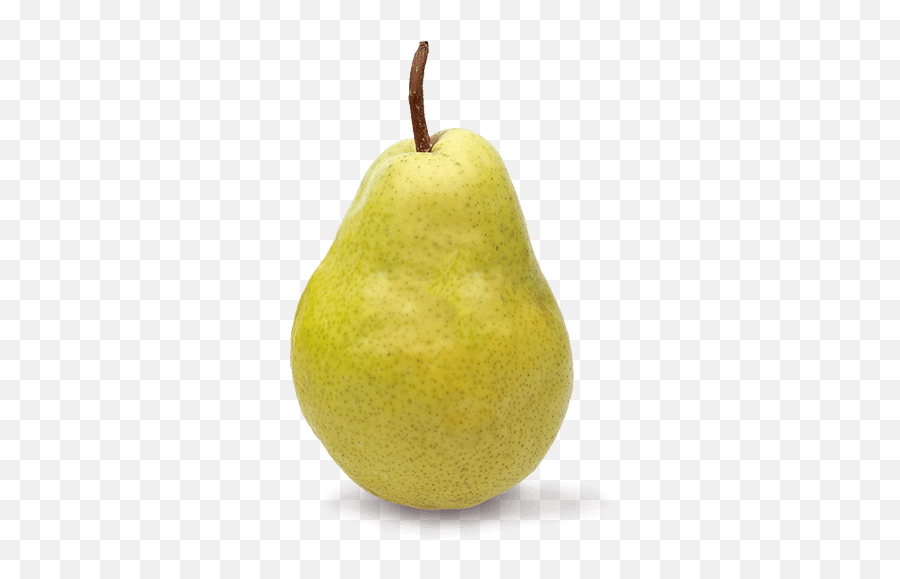 Single Pear Png Image Background Arts - Asian Pear,Pear Png