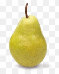 Single Pear Png Image Background Arts - Asian Pear,Pear Png