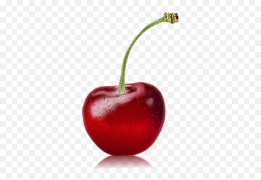 Ootf22 - Cherry With A Stalk Winner The Archives One Red Cherry Png,Cherry Png