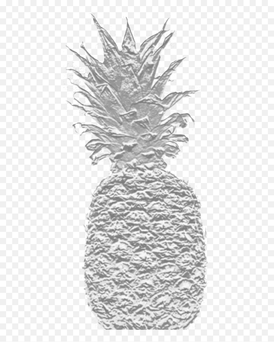 Download Pineapple Logo - Pineapple Png,Pineapple Logo