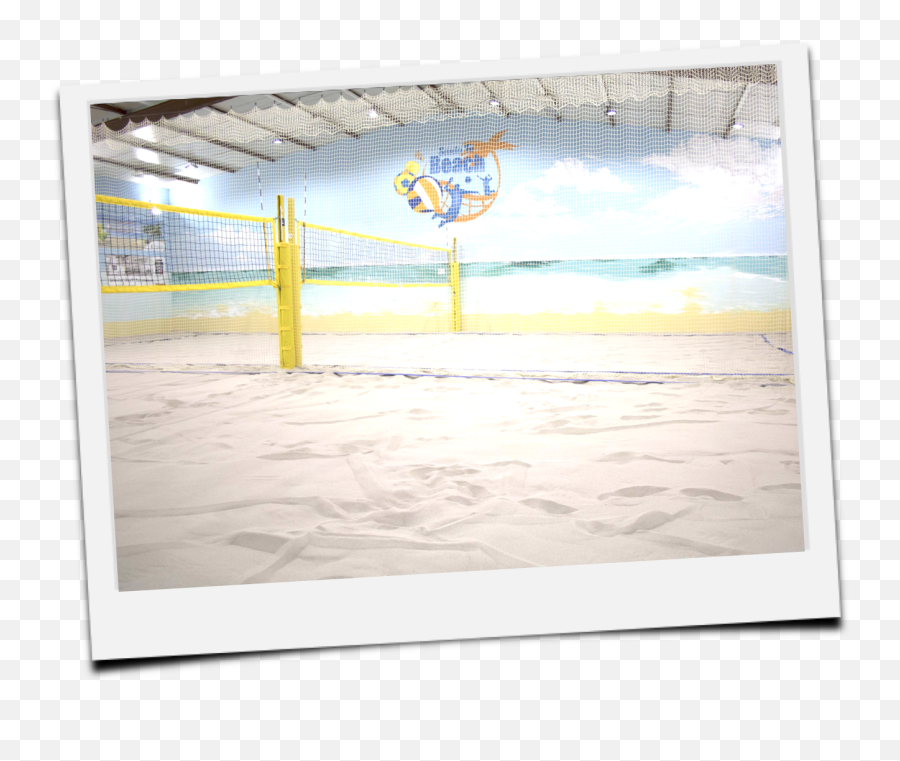 Partner Beach Volleyball Halls - Beach Me Picture Frame Png,Volleyball Net Png
