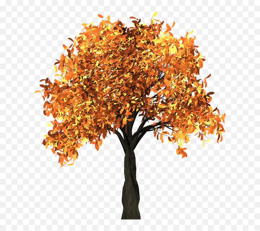 Tree Leaves Autumn - Psalms 22 3 5 Png,Fall Png